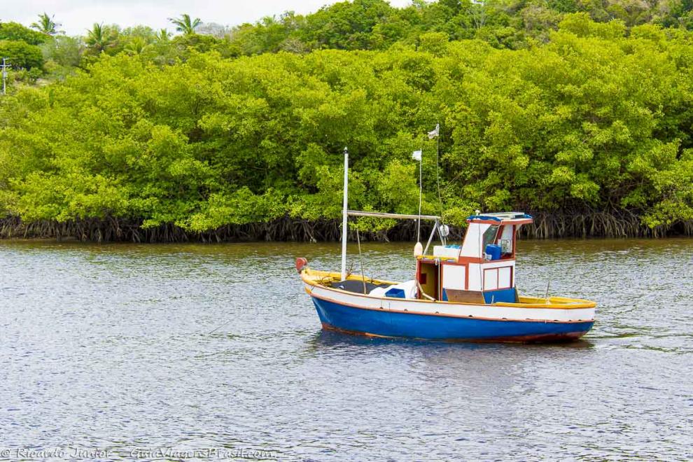 Imagem de barco no rio e ao fundo vegetaçao costeira em Caraiva.